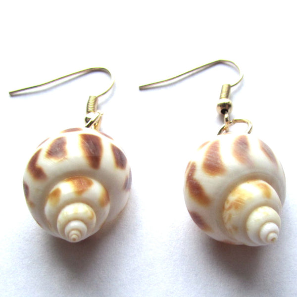 Spiral shell hot sale dangle earrings